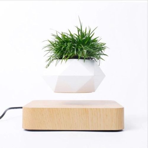 Floating Levitating Plant Pot | Modern Magnetic Home Decor