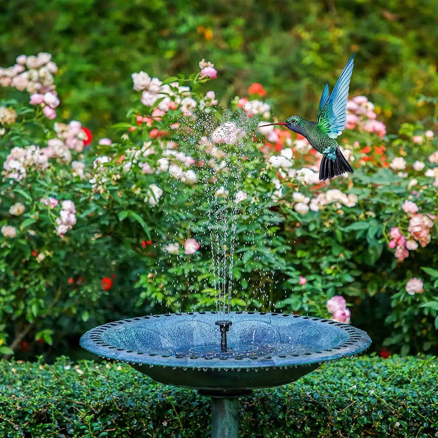 Solar Water Fountain Kit – Beautiful Water And Bird Scene